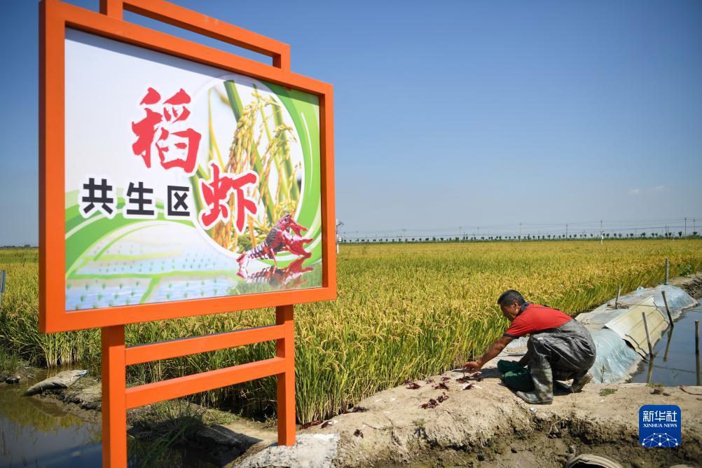 经典街机水果机
